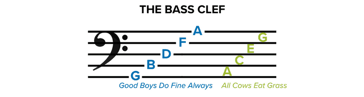 The Bass Clef